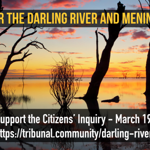 2019 Citizens' Inquiry into the Health of the Darling River and Menindee Lakes