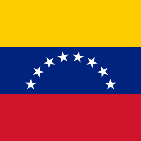Venezuelan flag