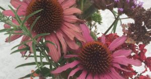 NENA Symposium: NENA Hub for East Gippsland Launched NENA Symposium: NENA Hub for East Gippsland Launched
