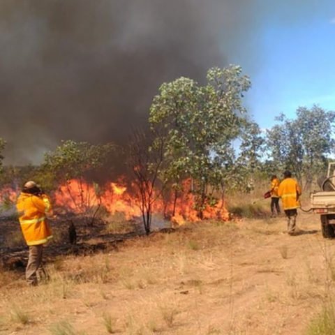Prescribed burning in Arnhem Land by the Indigenous rangers (Photo courtesy Jimmy Morrison)