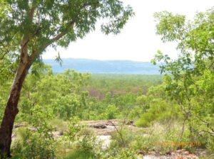 Savanna country of conservation significance in northern Australia