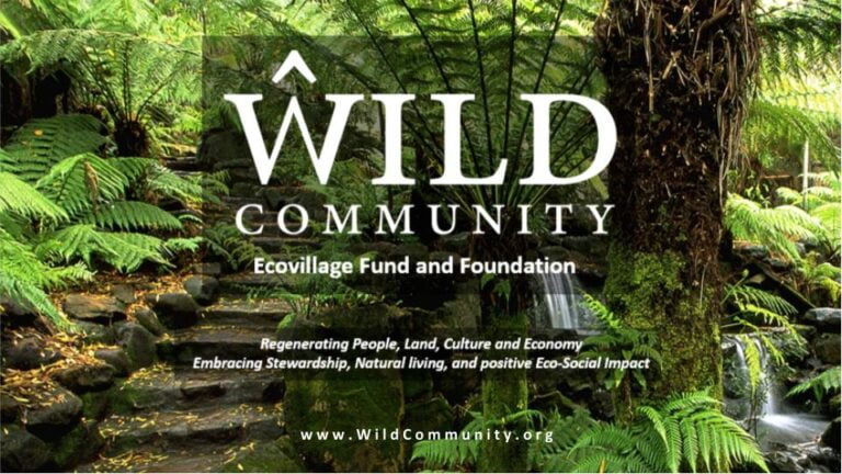 First Slide Image 768x432