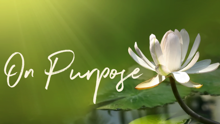 On Purpose 768x432